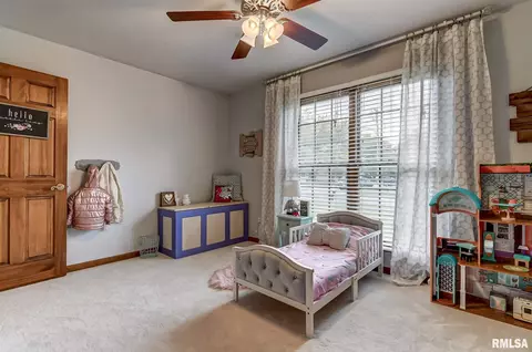 804 Wineman, Auburn, IL 62615 photo 31