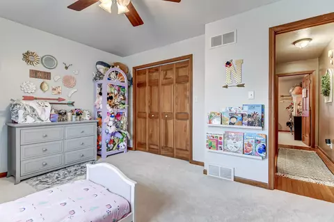804 Wineman, Auburn, IL 62615 photo 30