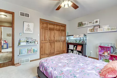804 Wineman, Auburn, IL 62615 photo 26