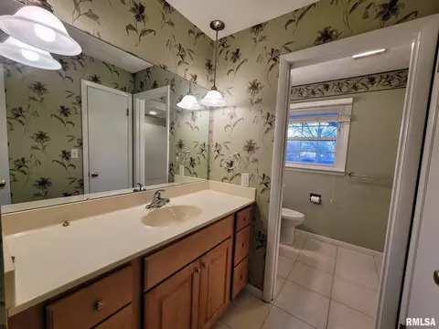 4 Timber Hills Dr, Springfield, IL 62704 photo 28