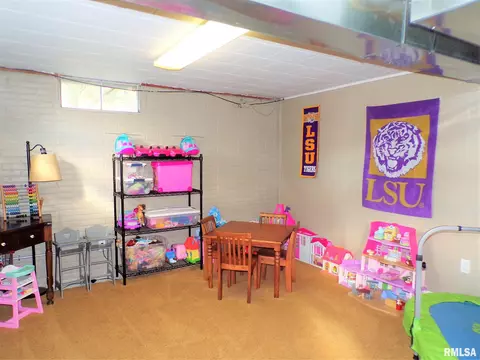 333 E Burch St, Wataga, IL 61488 photo 26