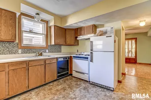 619 S Douglas Ave, Springfield, IL 62704 photo 15