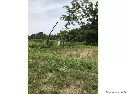 6665 E Washington St, Riverton, IL 62561 photo 3