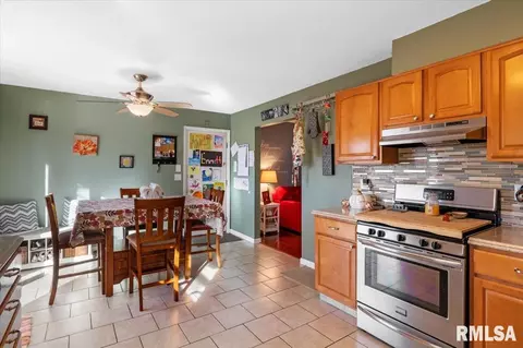 119 Dickinson Rd, Springfield, IL 62704 photo 11