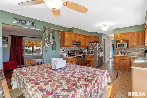 119 Dickinson Rd, Springfield, IL 62704 photo 13