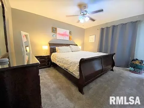 81 Mccarthy Dr, Springfield, IL 62702 photo 15