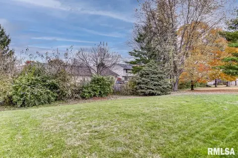 2521 Charlack Ave, Springfield, IL 62704 photo 45