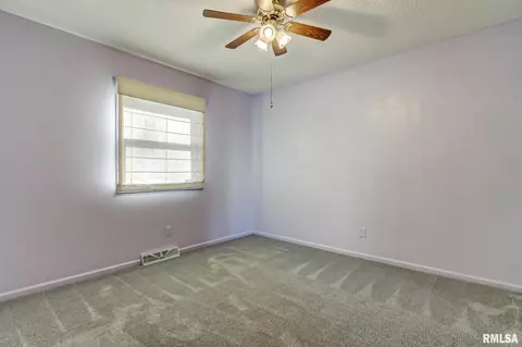 118 White Pine Dr, Springfield, IL 62712 photo 17