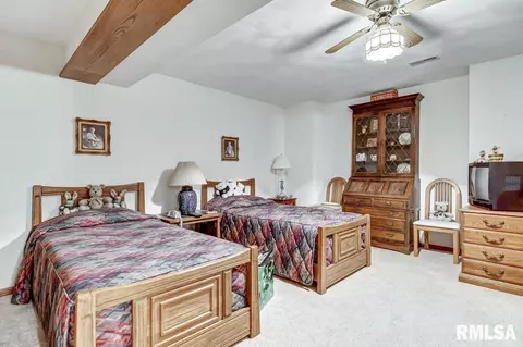 30 Chimney View Ln, Springfield, IL 62707 photo 42