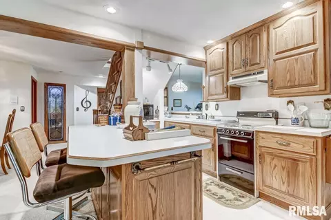30 Chimney View Ln, Springfield, IL 62707 photo 34