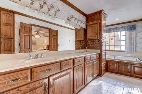 30 Chimney View Ln, Springfield, IL 62707 photo 19
