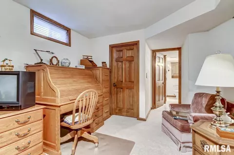 30 Chimney View Ln, Springfield, IL 62707 photo 41