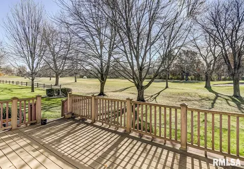 30 Chimney View Ln, Springfield, IL 62707 photo 44
