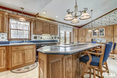 30 Chimney View Ln, Springfield, IL 62707 photo 16