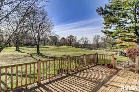30 Chimney View Ln, Springfield, IL 62707 photo 45