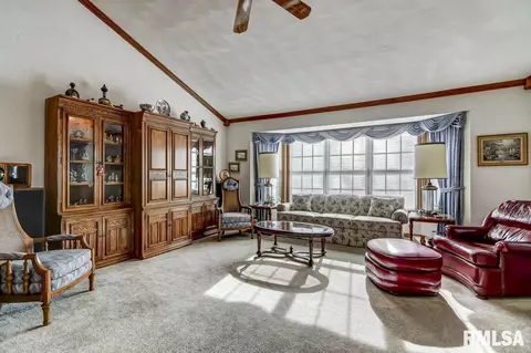 30 Chimney View Ln, Springfield, IL 62707 photo 7
