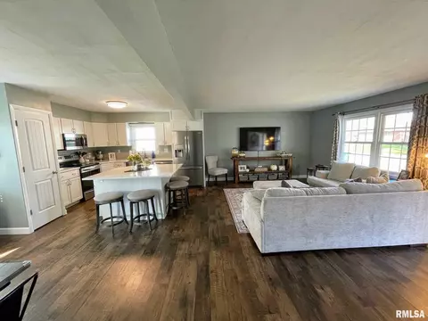 13 Foresters Ln, Springfield, IL 62704 photo 3