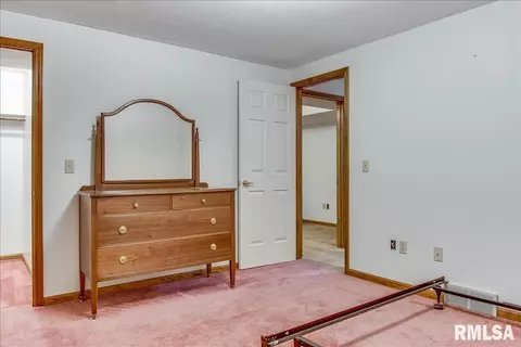 25 Burning Tree Dr, Chatham, IL 62629 photo 37