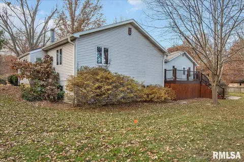 25 Burning Tree Dr, Chatham, IL 62629 photo 45