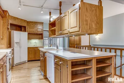 25 Burning Tree Dr, Chatham, IL 62629 photo 9