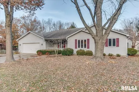 25 Burning Tree Dr, Chatham, IL 62629 photo 2