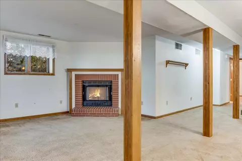 25 Burning Tree Dr, Chatham, IL 62629 photo 35