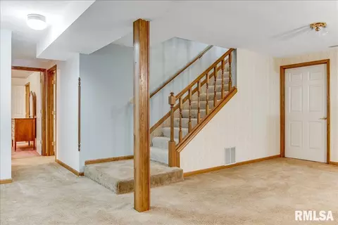 25 Burning Tree Dr, Chatham, IL 62629 photo 29