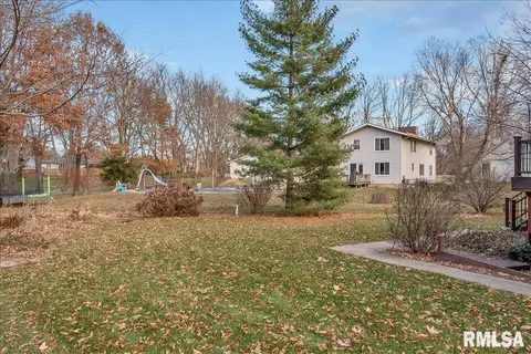 25 Burning Tree Dr, Chatham, IL 62629 photo 46