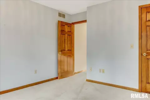 25 Burning Tree Dr, Chatham, IL 62629 photo 23