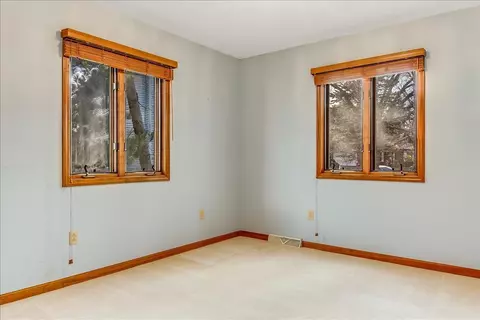 25 Burning Tree Dr, Chatham, IL 62629 photo 22
