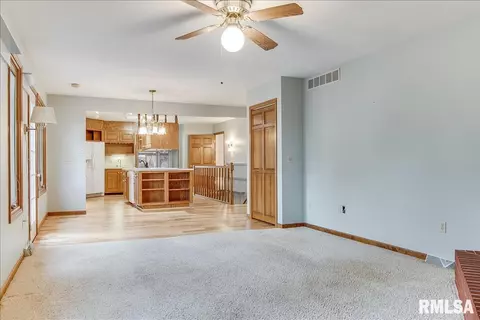 25 Burning Tree Dr, Chatham, IL 62629 photo 14