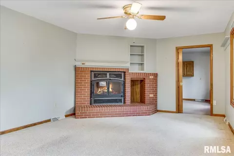 25 Burning Tree Dr, Chatham, IL 62629 photo 12