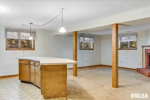 25 Burning Tree Dr, Chatham, IL 62629 photo 33