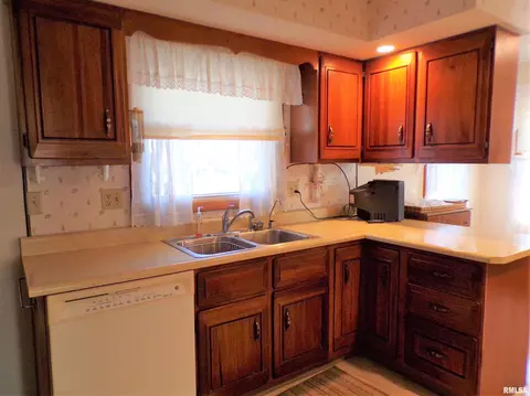 435 W Holmes St, Oneida, IL 61467 photo 11