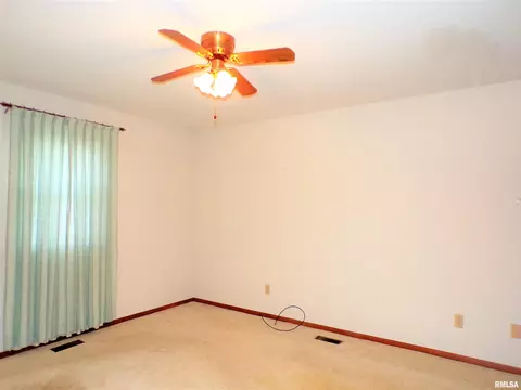 435 W Holmes St, Oneida, IL 61467 photo 17