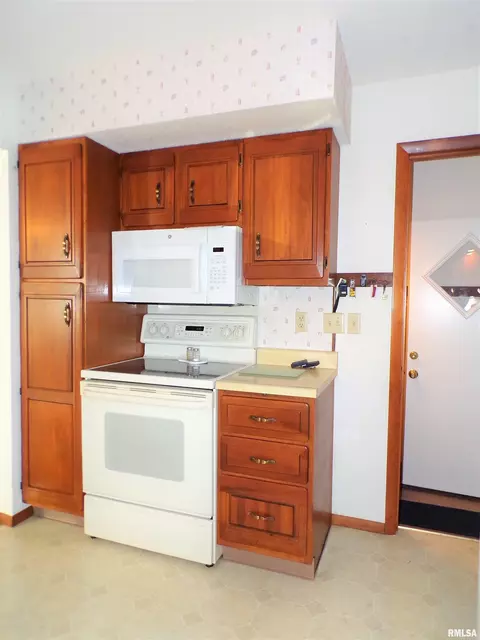 435 W Holmes St, Oneida, IL 61467 photo 15