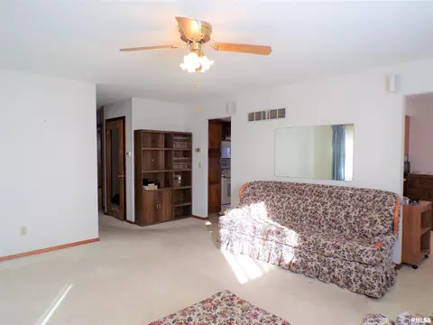 435 W Holmes St, Oneida, IL 61467 photo 10