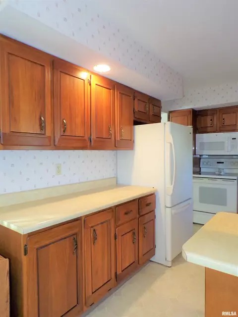 435 W Holmes St, Oneida, IL 61467 photo 12