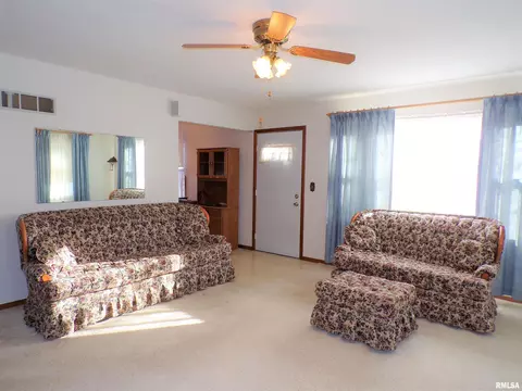 435 W Holmes St, Oneida, IL 61467 photo 8