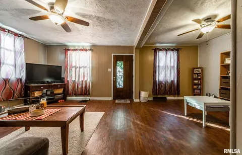 213 N Spring St, Mount Pulaski, IL 62548 photo 5