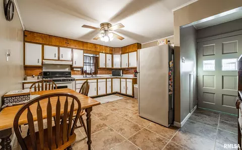 213 N Spring St, Mount Pulaski, IL 62548 photo 6