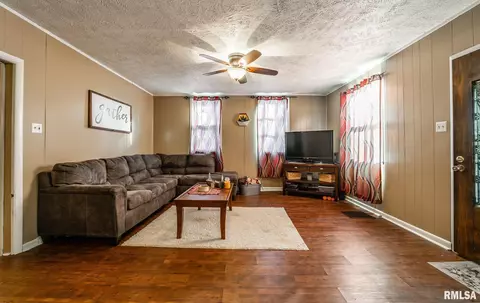213 N Spring St, Mount Pulaski, IL 62548 photo 3