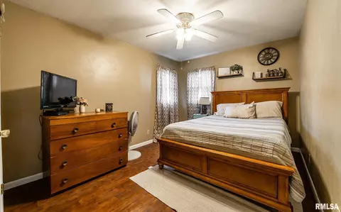 213 N Spring St, Mount Pulaski, IL 62548 photo 9