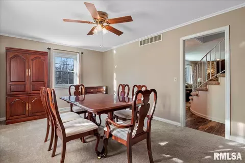 340 Brian Ln, Dawson, IL 62520 photo 17
