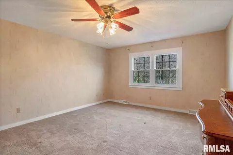 340 Brian Ln, Dawson, IL 62520 photo 22