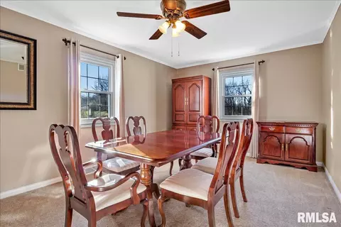 340 Brian Ln, Dawson, IL 62520 photo 16
