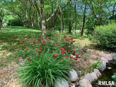 340 Brian Ln, Dawson, IL 62520 photo 43