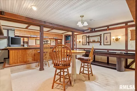 340 Brian Ln, Dawson, IL 62520 photo 32
