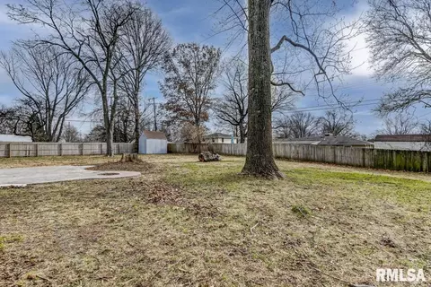 58 Horseshoe Dr, Springfield, IL 62702 photo 29