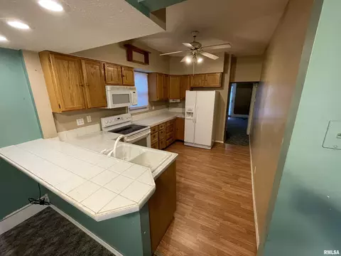 1829 S Spring St, Springfield, IL 62704 photo 4